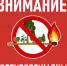 В Тверской области с 11 июня вводится особый противопожарный режим - Лесной вестник