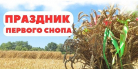 «Дементьев-фест», «Распахнутые ветра», «Праздник первого снопа»: жителей и гостей Верхневолжья приглашают на культурные события - Лесной вестник