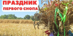 «Дементьев-фест», «Распахнутые ветра», «Праздник первого снопа»: жителей и гостей Верхневолжья приглашают на культурные события